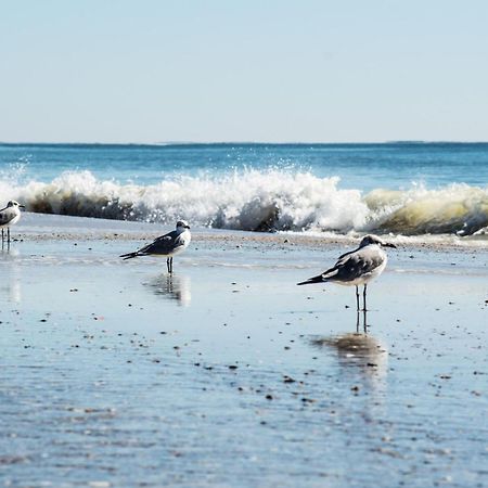 Direct Gulf Views With Deeded Beach Access Gulf Shores Extérieur photo